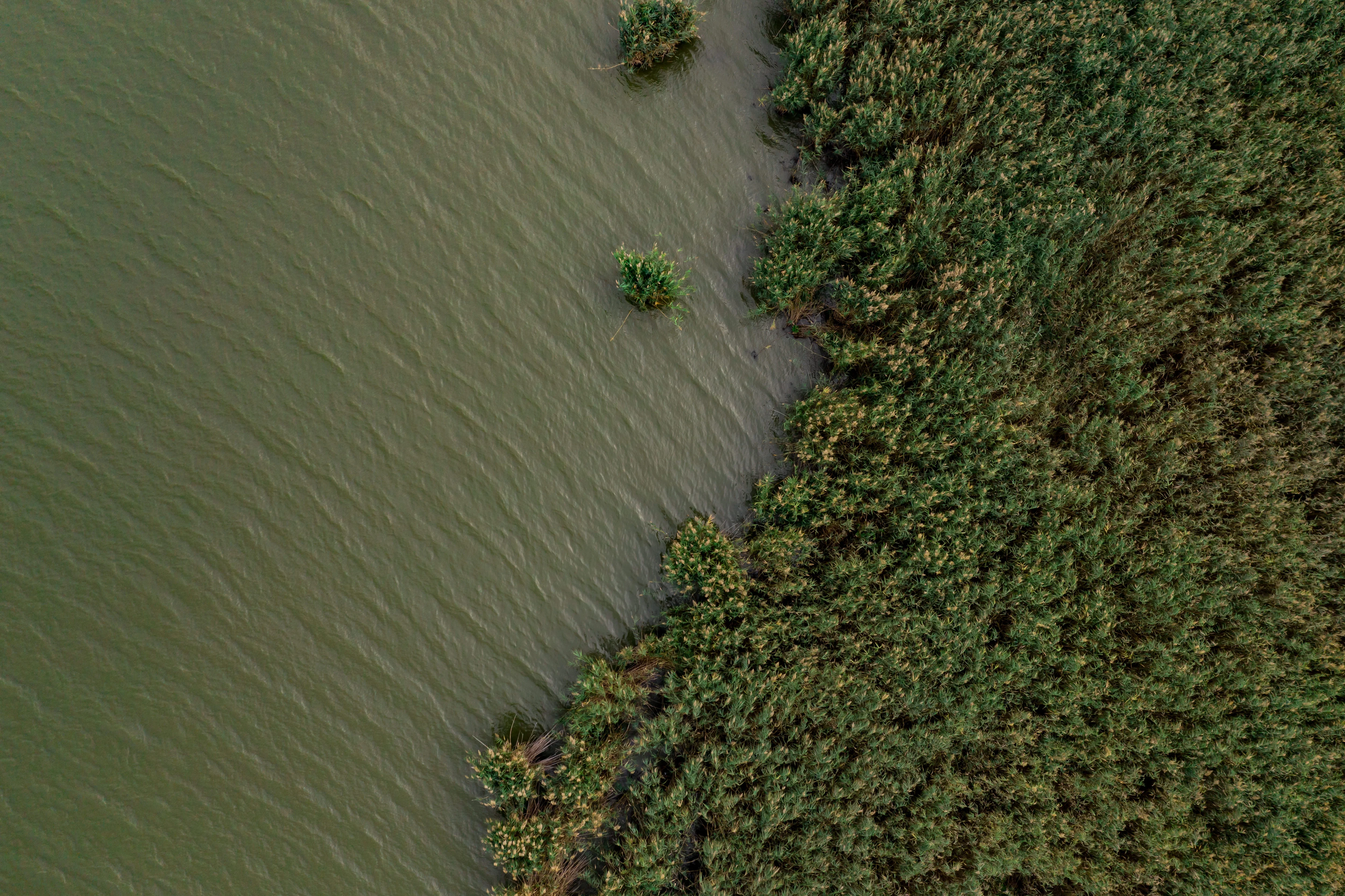 Amazonía peruana — territorio EFOD